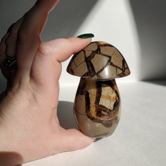 4" tall Septarian Mushroom Crystal - Picture 1 of 4